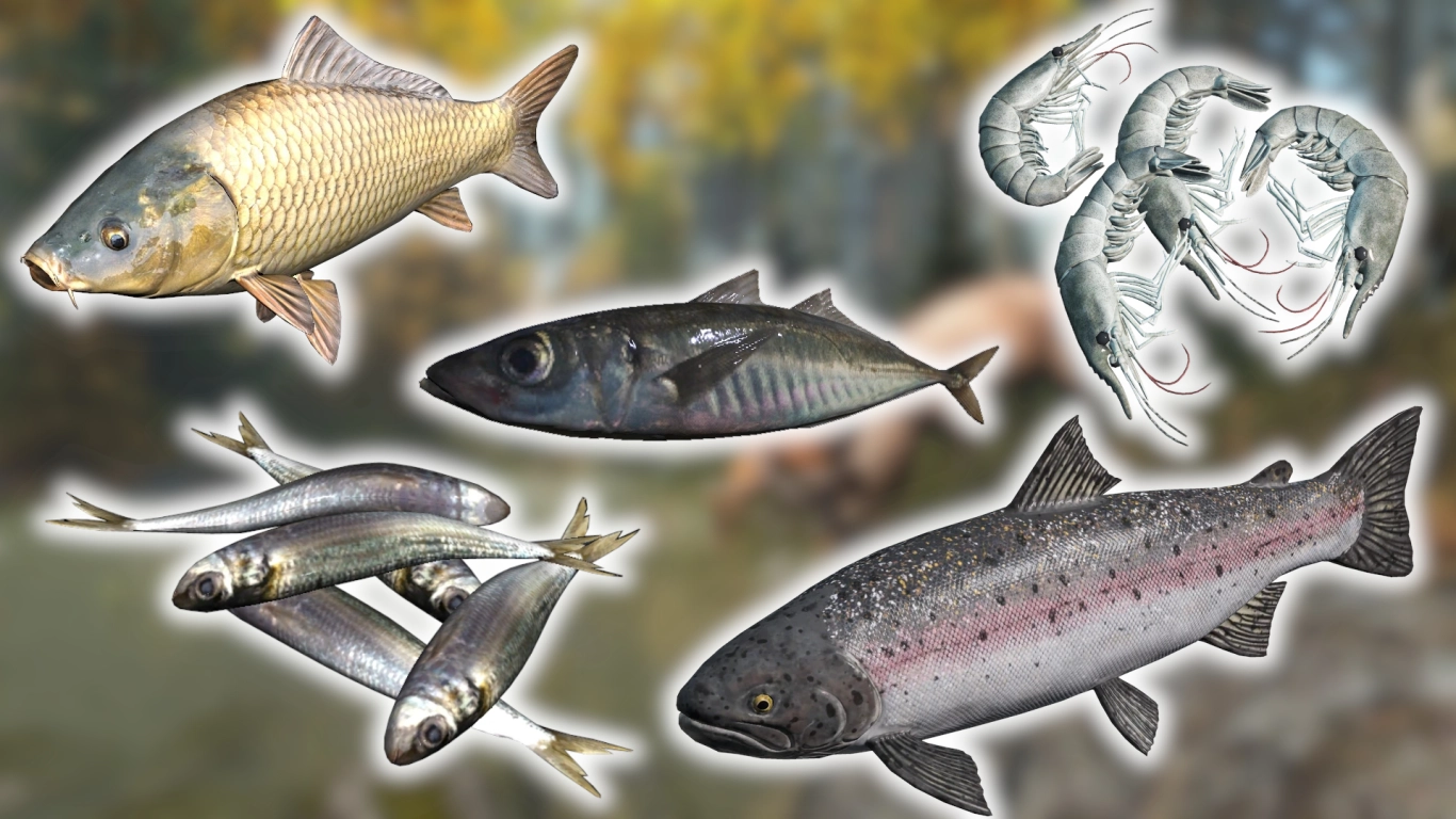 DayZ fish and marine life: freshwater and saltwater