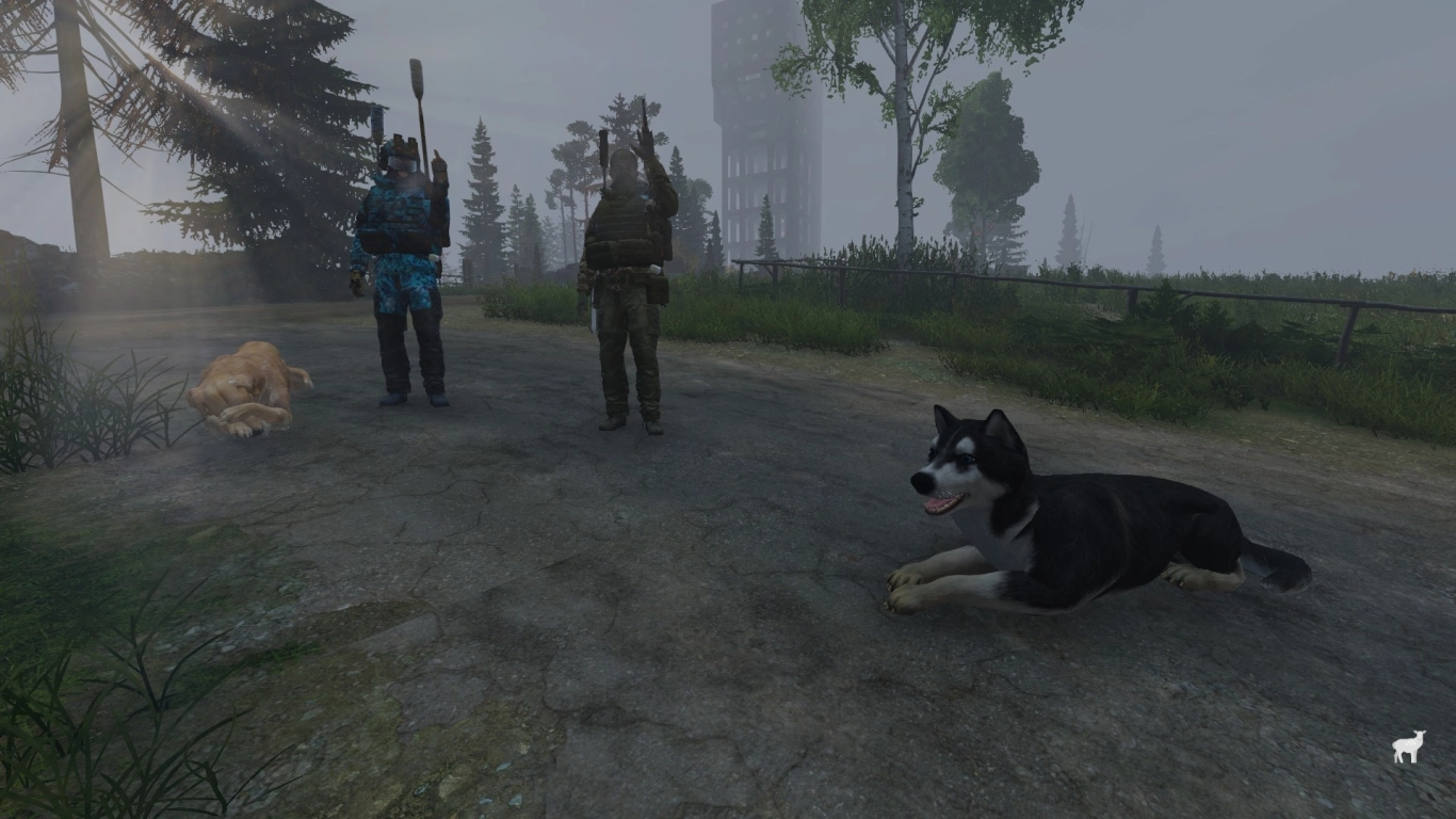 Companion dog in DayZ