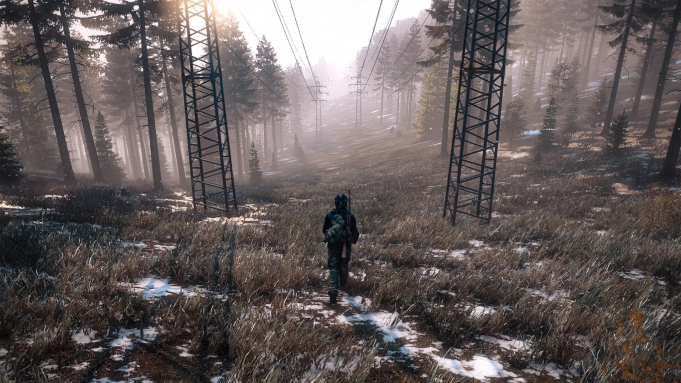 Winter textures in DayZ