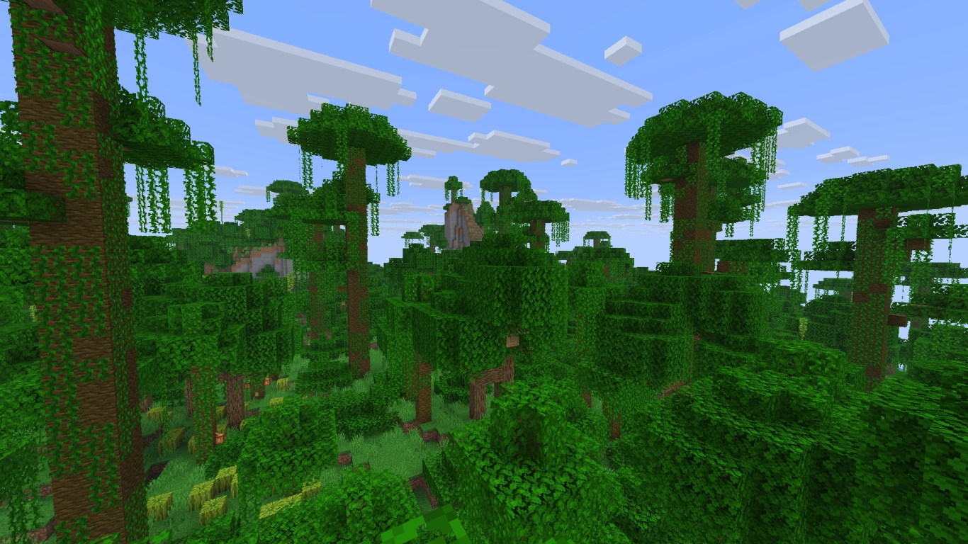 Dense jungle with tall trees