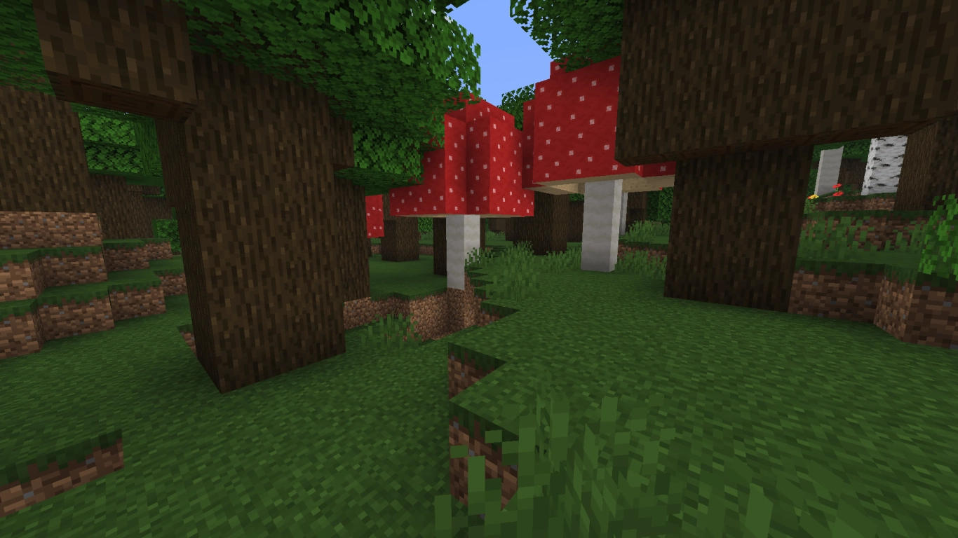 Dense Dark Oak Forest