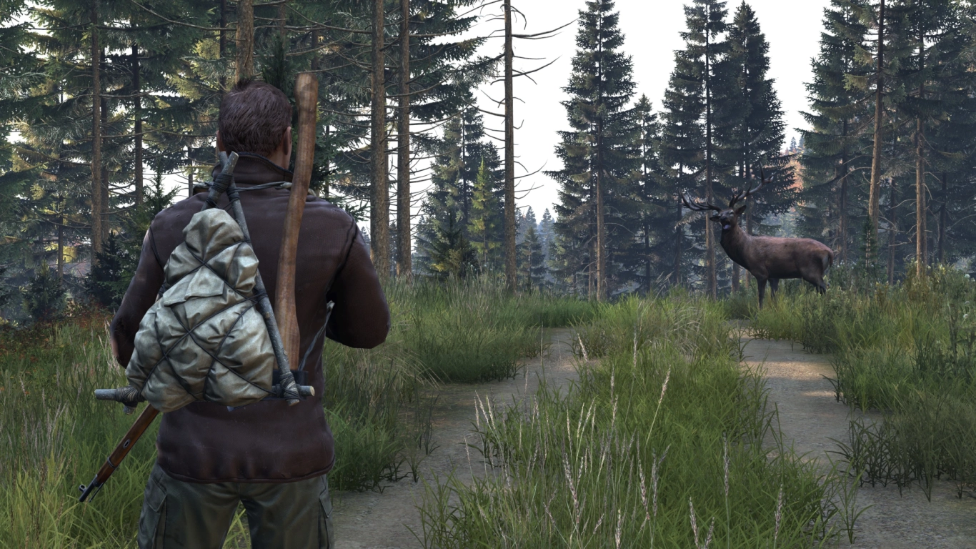 Métodos de curación en DayZ