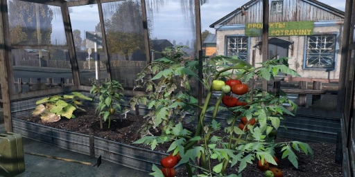 Ultimate Guide: Setting Up a Garden in DayZ