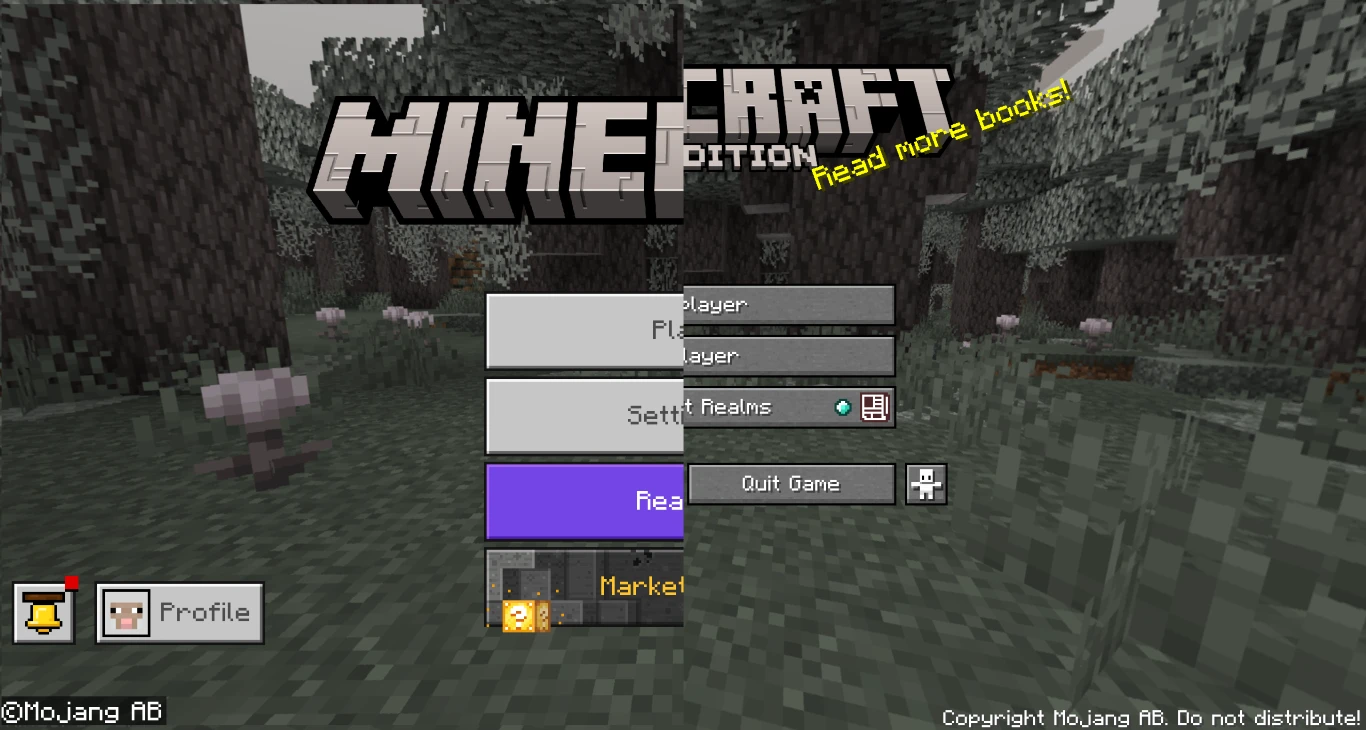 Minecraft Java o Bedrock Versión 2