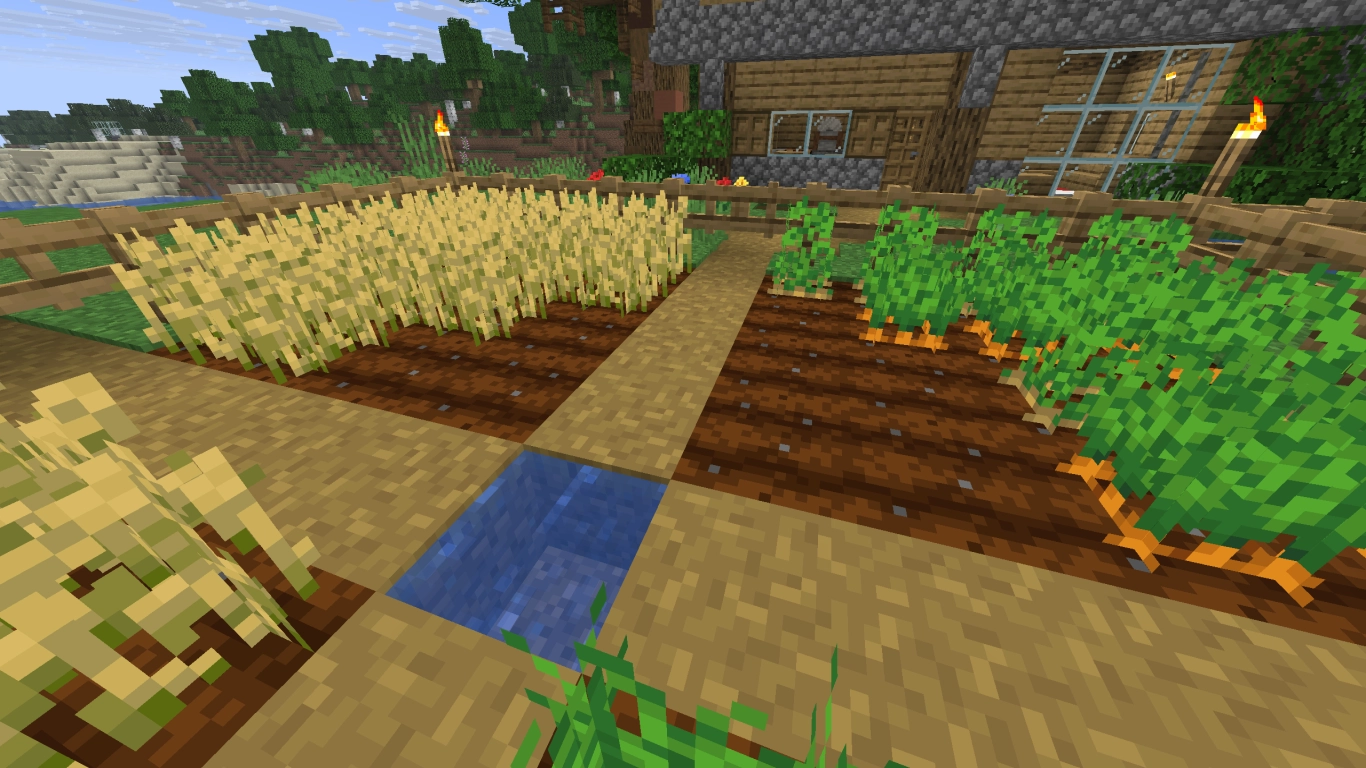 Cultivos de Minecraft: trigo, patatas, zanahorias y remolacha en un campo