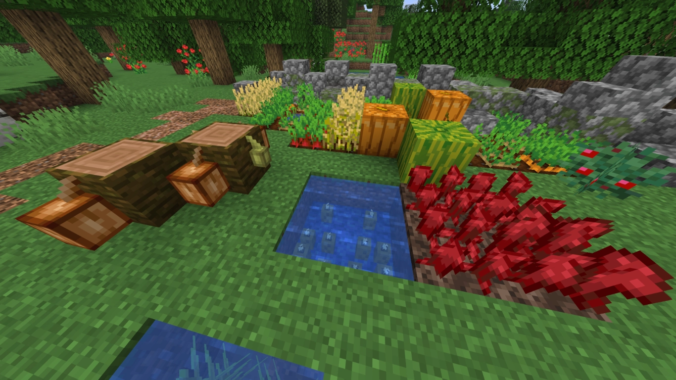 Exotic crops: cocoa beans, nether wart, sea pickles in Minecraft