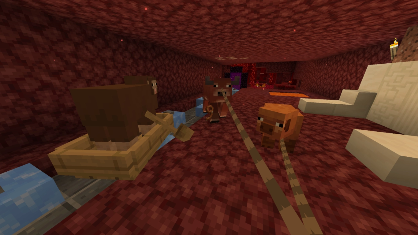 Move Minecraft animals faster through the Nether