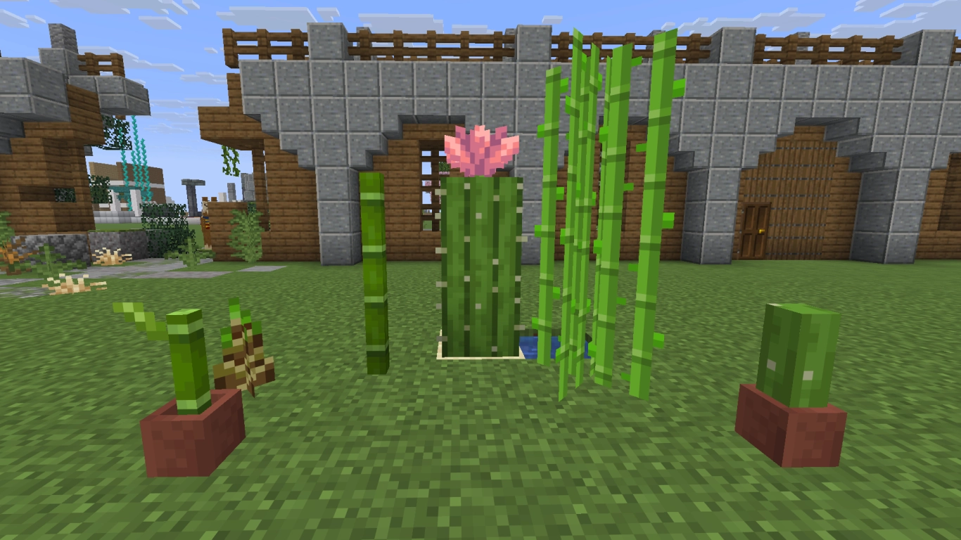 Cactus, bambú y caña de azúcar de Minecraft como elementos decorativos en orillas y desiertos