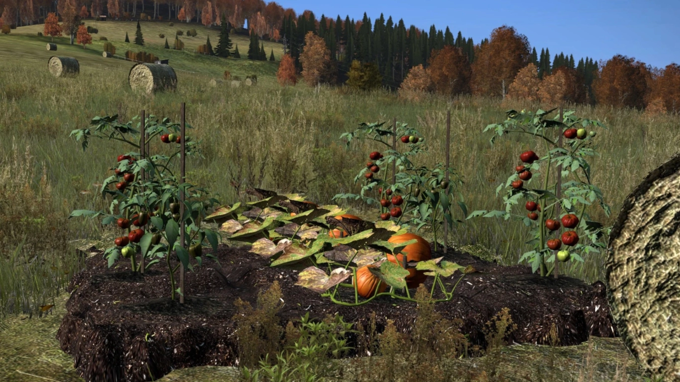 Recolectar frutas en DayZ