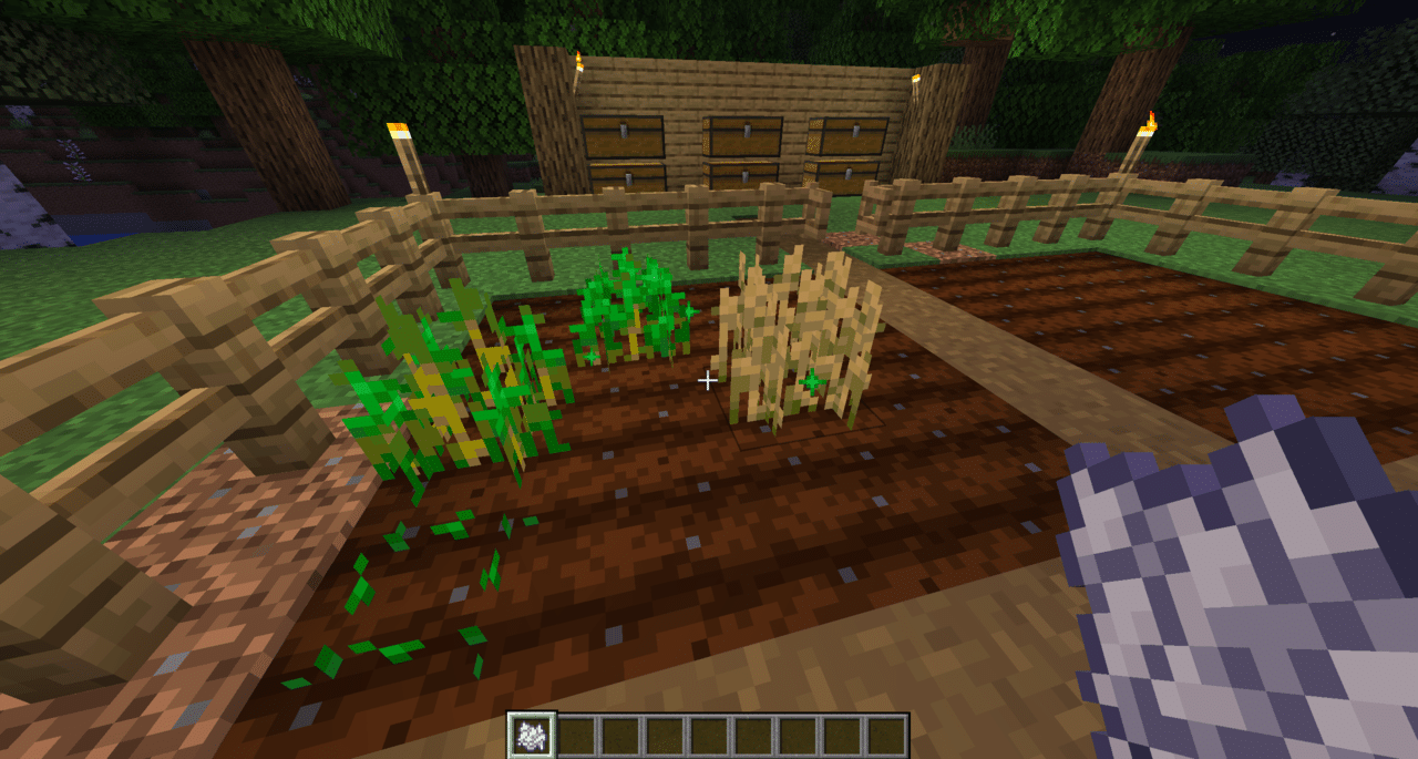 Crecimiento del campo de Minecraft
