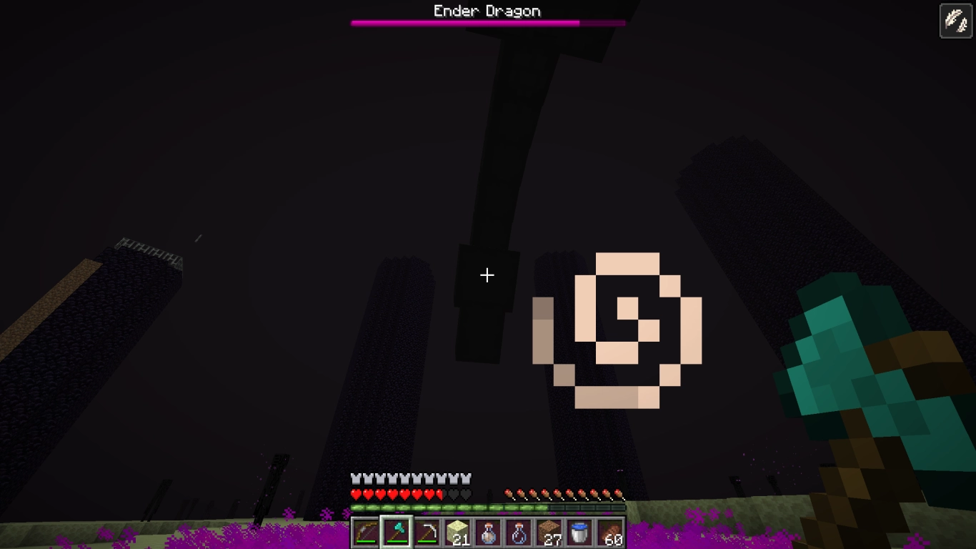 Fight against the Ender Dragon