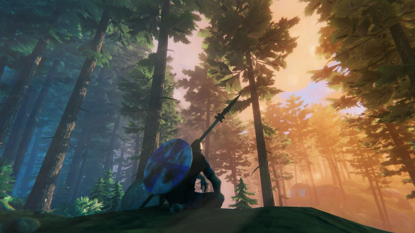 Valheim Black Forest biome with dense pines and firs overview