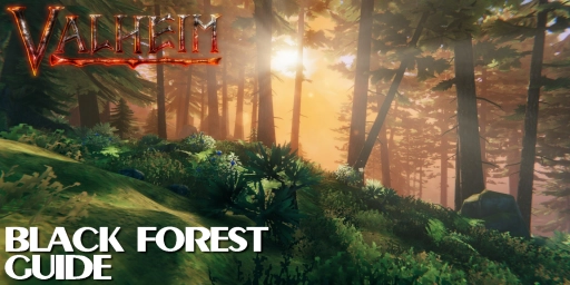 Valheim Black Forest Guide: Copper, Haldor & The Elder